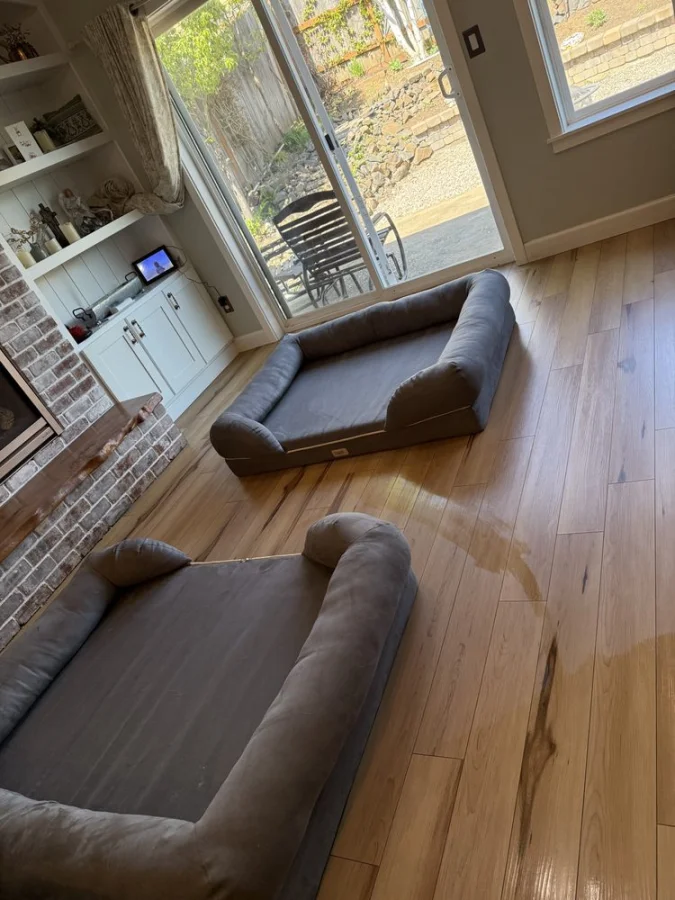 House Cleaning Company in Gervais, OR House Cleaning Company in Gervais, OR